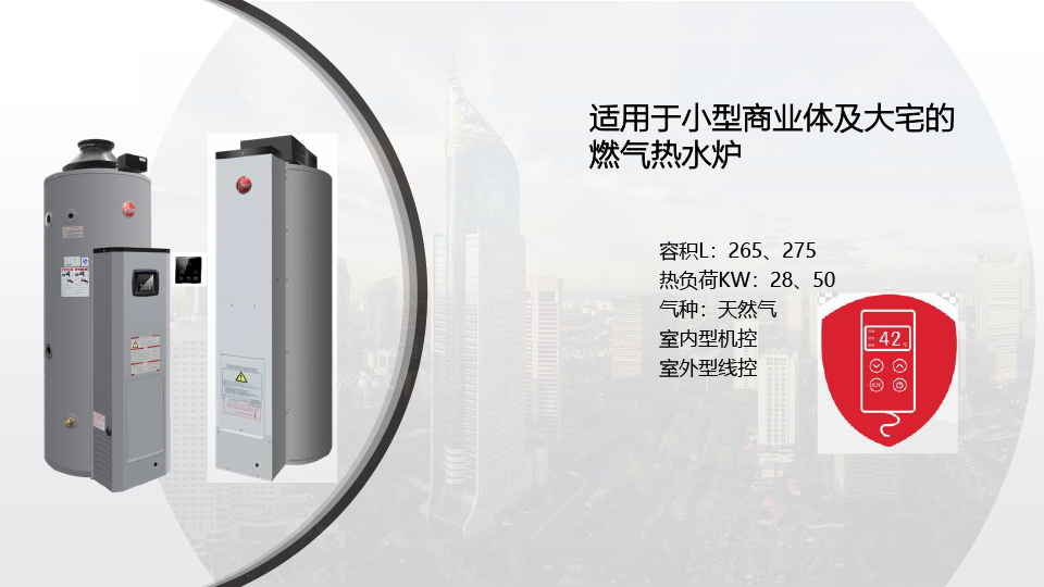 瑞美（RHEEM）锅炉
