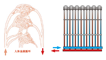 毛细管网辐射采暖系统简介